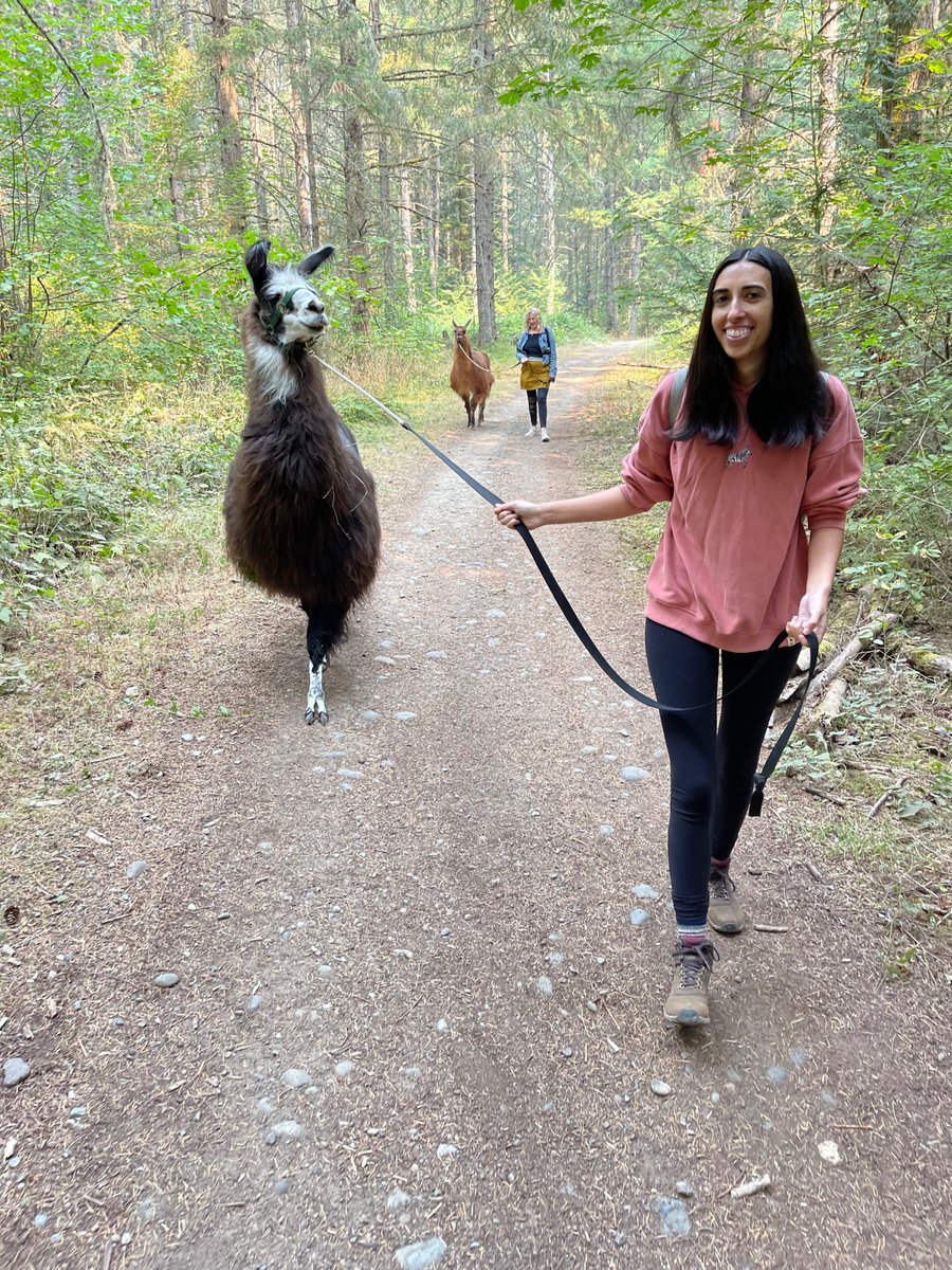Professional Development Play Dates (PD²) (@prodevplaydates) on Twitter photo Can you walk a llama? 🦙 Or will the llama walk you…
<a href="/janaki_aleena/">Janaki Nagarajan</a> attempts to enjoy some quality outdoors time with her favorite animal in this week’s #ThrowbackThursday
What’s an unusual animal you’d take a hike with?🥾 Can you walk a llama? 🦙 Or will the llama walk you…
<a href="/janaki_aleena/">Janaki Nagarajan</a> attempts to enjoy some quality outdoors time with her favorite animal in this week’s #ThrowbackThursday
What’s an unusual animal you’d take a hike with?🥾