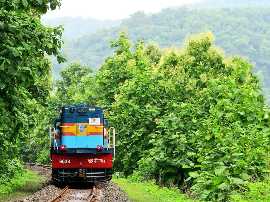 Today's #railway #photo - this beautiful capture of a rare Metre Gauge train passing through the Kalakund forest near Kalakund railway station in the jurisdiction of @RatlamDRM in @WesternRly! Pic courtesy, Aishik Chanda! #IndianRailways #trains #photography @c_aashish @baxirahul