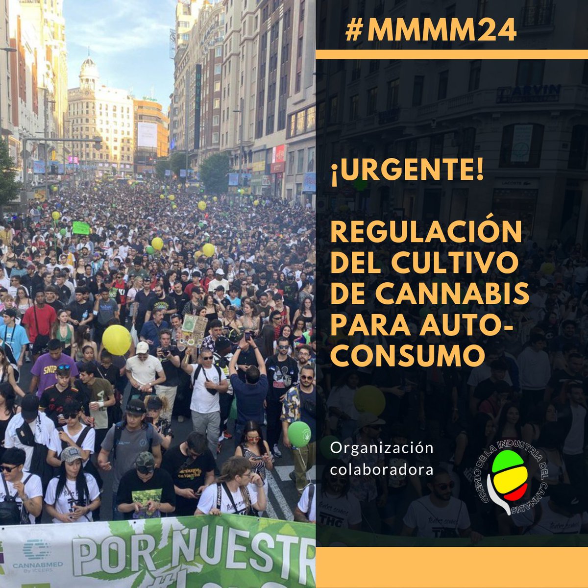Hay una situación legal ambigua, discriminatoria, injusta. Reclamamos el final del estigma asociado al uso de la Planta, reclamamos un cambio en las políticas públicas de Drogas, donde las personas  seamos el centro…¡¡¡QUEREMOS UNA LEY DE CANNABIS YA!!!! #MMMM24