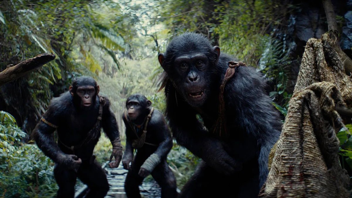 #KingdomOfThePlanetOfTheApes took a bit to find its way for me, but once it did, I was quite impressed. The visuals were stunning & I really thought the performances by the entire cast were both layered &  engaging. I found Noa's coming-of-age elements compelling & the film's