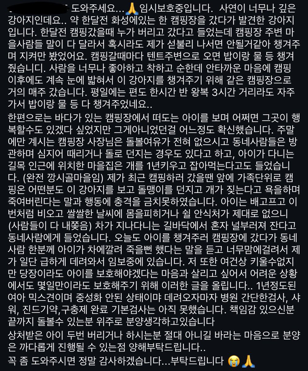 캠핑장 유기견 매양이🐕‍🦺의 입양/임보처를 찾습니다! 누군가 캠핑장에 유기하고 떠난 후 호의적이지 않은 마을 사람들 때문에 구조자님이 급하게 데려옴 -. 몸 전체가 까만 진도믹스 -. 암컷 -. 중성화x -. 몸무게 7kg대 -. 현재 기본 검진 진행중 연을 느끼신 분이 계시다면 저한테 알려주세요