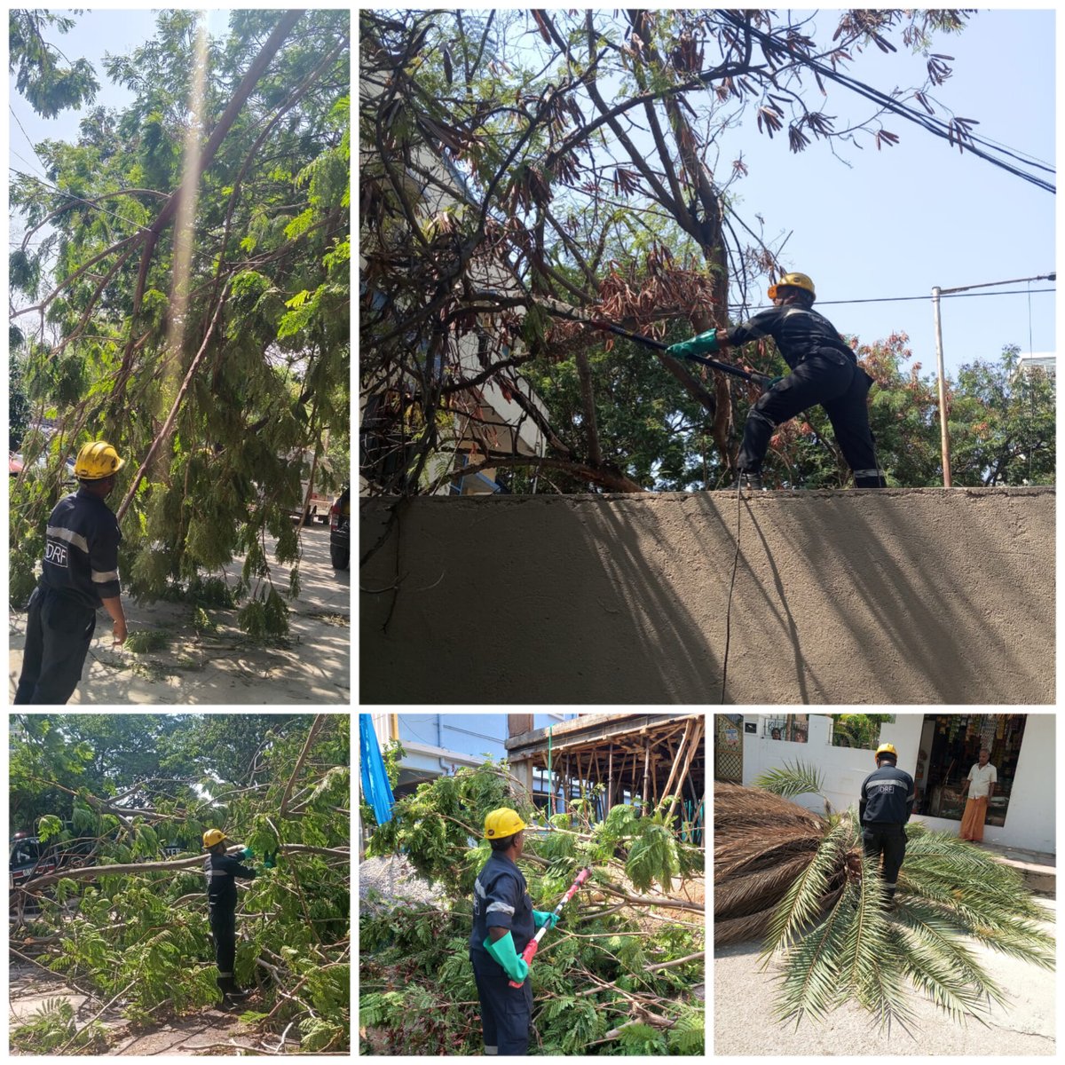 The DRF teams have cleared fallen trees in various places in the city. Citizens may dial 040-21111111 or 9000113667 for GHMC-DRF assistance. @gadwalvijayainc @CommissionrGHMC @GHMCOnline