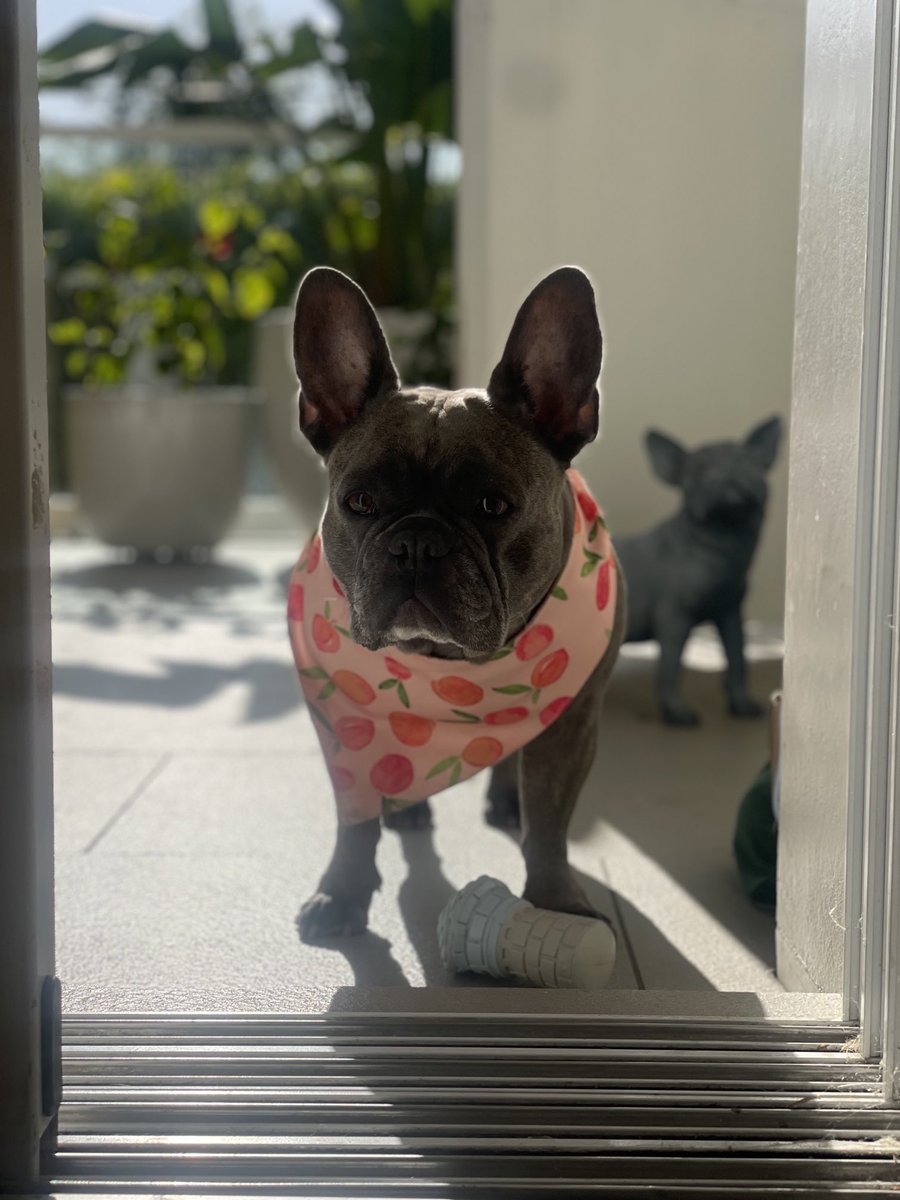 Miles Teller tweet media