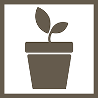 NASAGeneLab's tweet photo. 🌱What's up? That's what researchers asked the plants in this study! 🙃Explore their results and more in this processed transcriptomics release. 🧬#Plantsinspace #nasadata #rnaseq
🌐OSD-411: https://t.co/bYC5BLPBXT https://t.co/rHTmrWLBnY