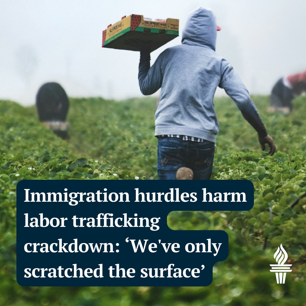 SDNewsWatch's tweet image. "If you said ‘human trafficking’ maybe a decade ago, a lot of people would have had no idea what you were talking about." sdnewswatch.org/immigration-so…