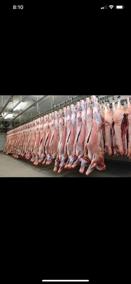 Emirates betrayal!!
——————-
A butchers in Dubai would make it no secret that ‘albeit the meat was stamped from Kenya/ Ethiopia, it was originally from Somalia.🇸🇴 

Somalia meat is a global brand with consumer preference. It needs nominal investments to remove the few constraints
