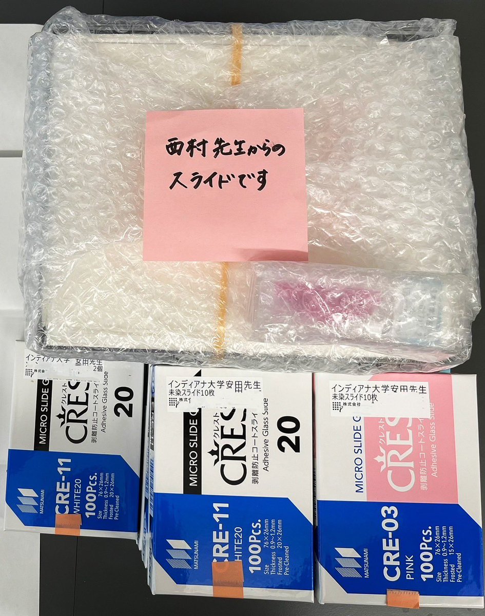 I finally received the FFPE samples from the Ishimoto Lab at @LabIrcms in Japan. It took so long😖

Great thanks to Dr. Nishimura @nishimura_akih0 for everything, and I'm also grateful to Dr. Ishimoto for generously providing the precious samples.
#IU #WangLab