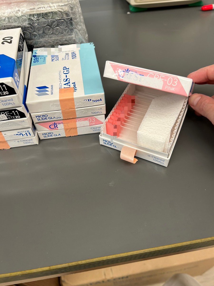TadahitoYasuda's tweet photo. I finally received the FFPE samples from the Ishimoto Lab at @LabIrcms in Japan. It took so long😖

Great thanks to Dr. Nishimura @nishimura_akih0 for everything, and I'm also grateful to Dr. Ishimoto for generously providing the precious samples.
#IU #WangLab https://t.co/z5ZfuDuxEh