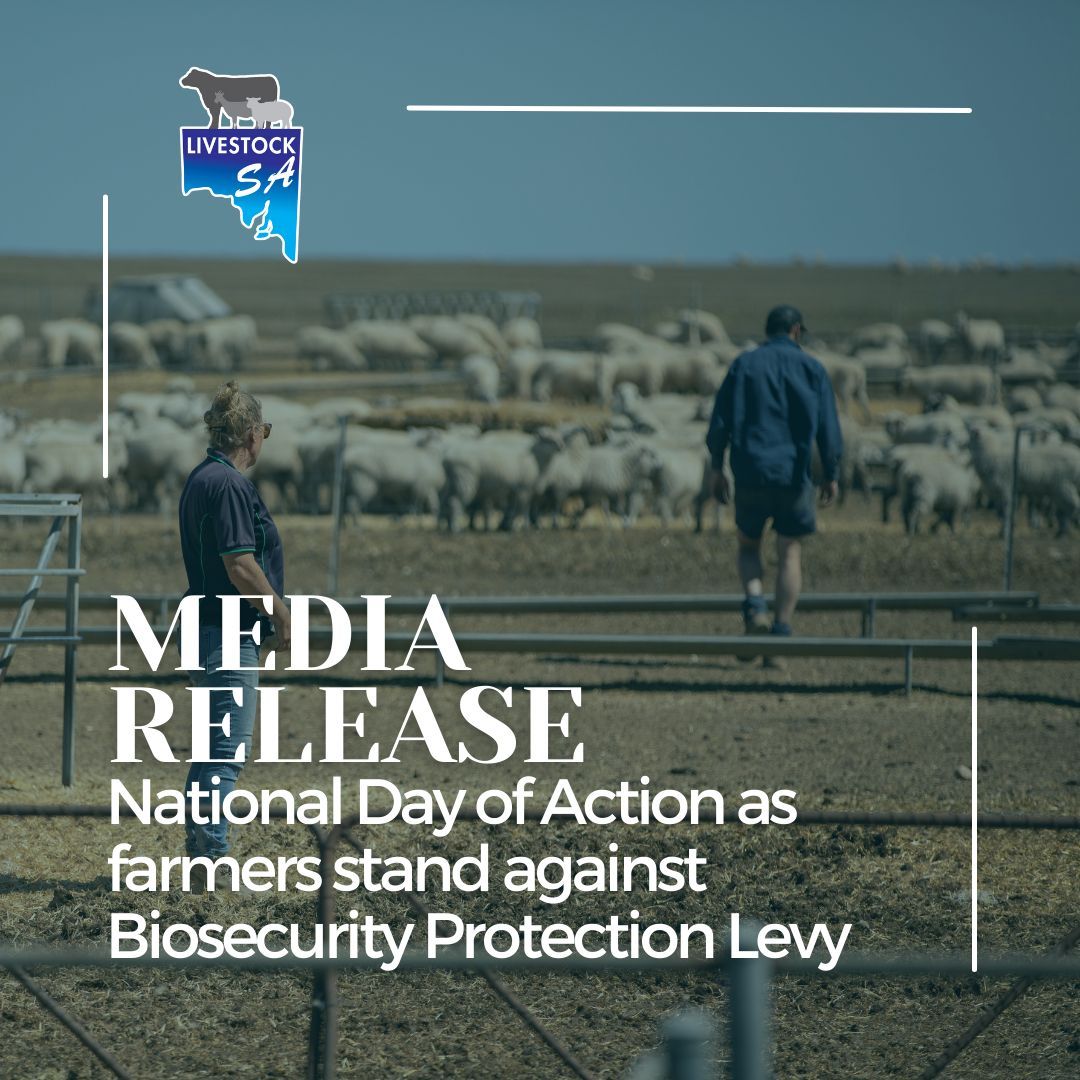 🚜🌾 KEEP FARMERS FARMING 🌾🚜
Farmers nationwide are standing against the proposed Biosecurity Protection Levy. Learn why this action matters for our livestock industry.

👉 Read more: buff.ly/4a9dwsk
#ScraptheTax #KeepFarmersFarming