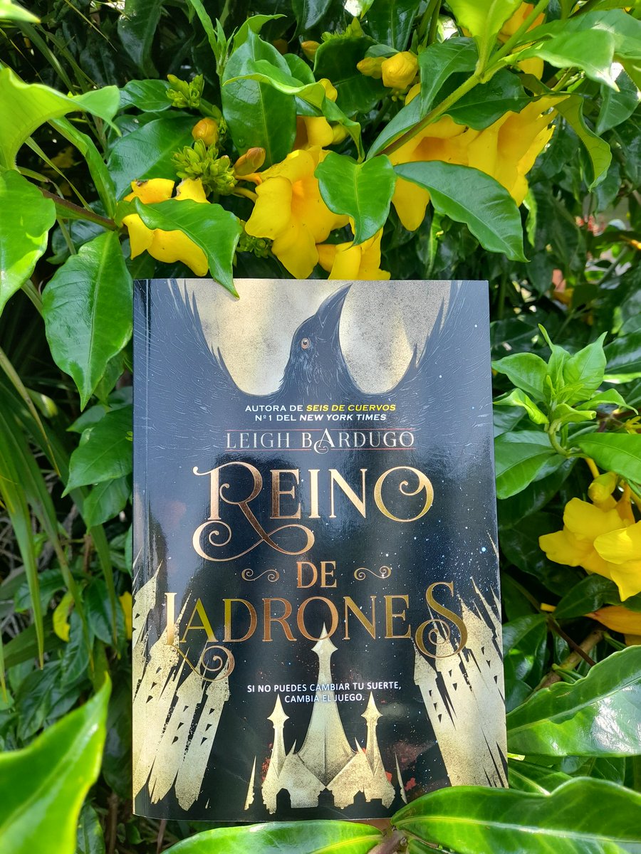 Que leo ahora: #ReinoDeLadrones de #LeighBardugo.

En Ketterdam, Kaz solo piensa en una cosa: venganza.
Contra quienes pusieron su vida en peligro, contra quienes le engañaron, contra quienes lo convirtieron en lo que es y tiene un plan en marcha.

#CrookedKingdom