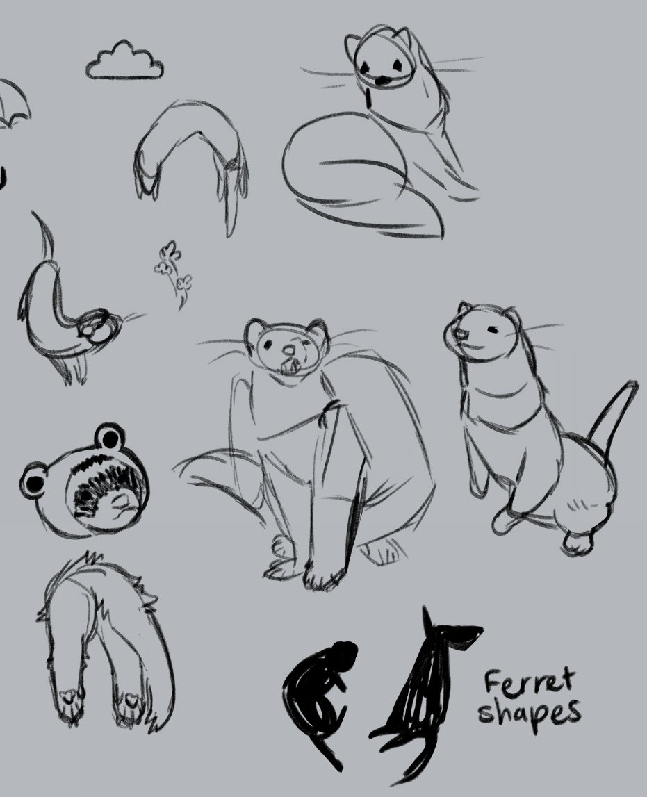 ferret shapes