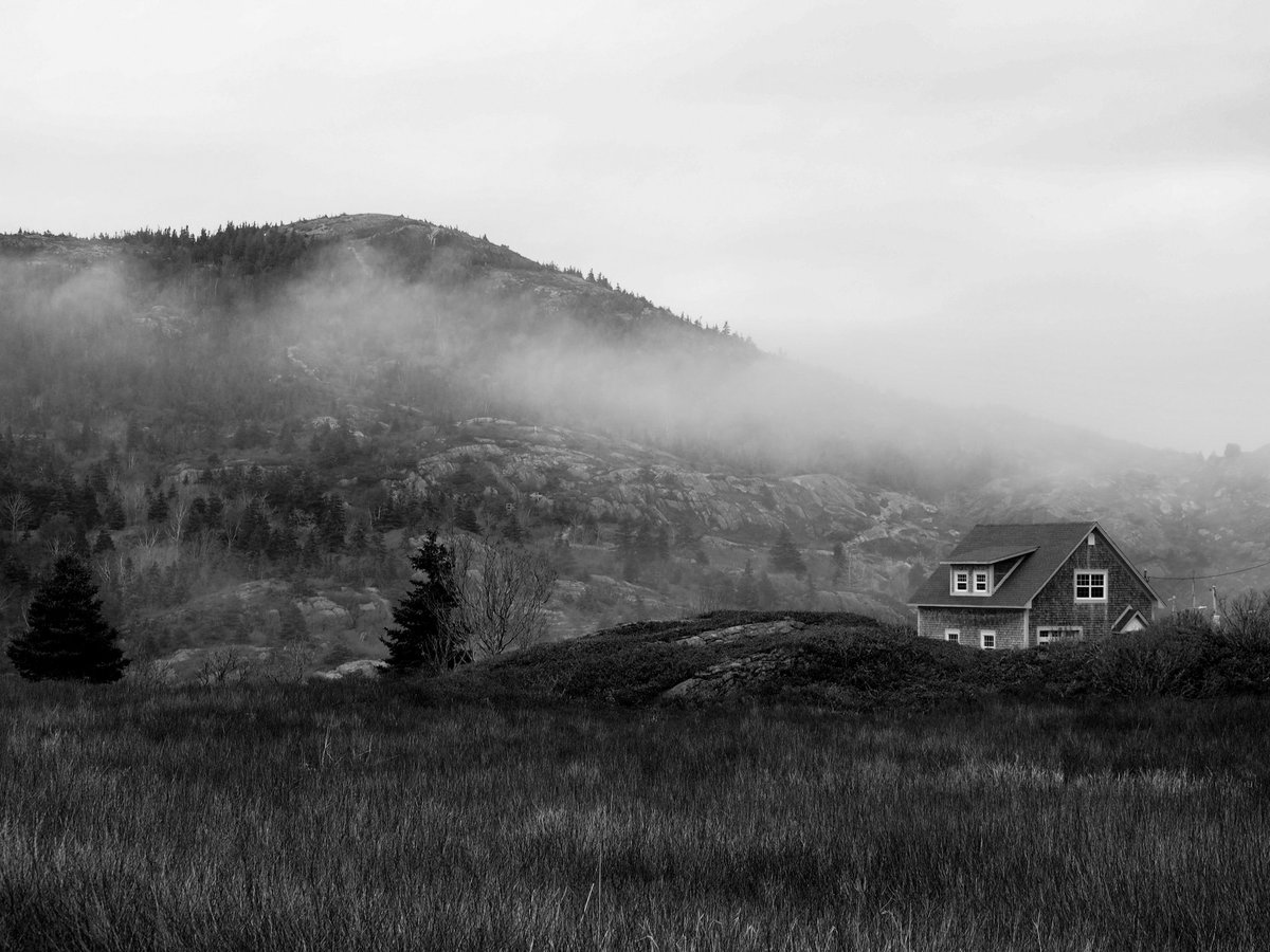 Proof that fog sure does paint a pretty picture!! 🌫️ #nlwx #ShareYourWeather #newfoundlandandlabrador