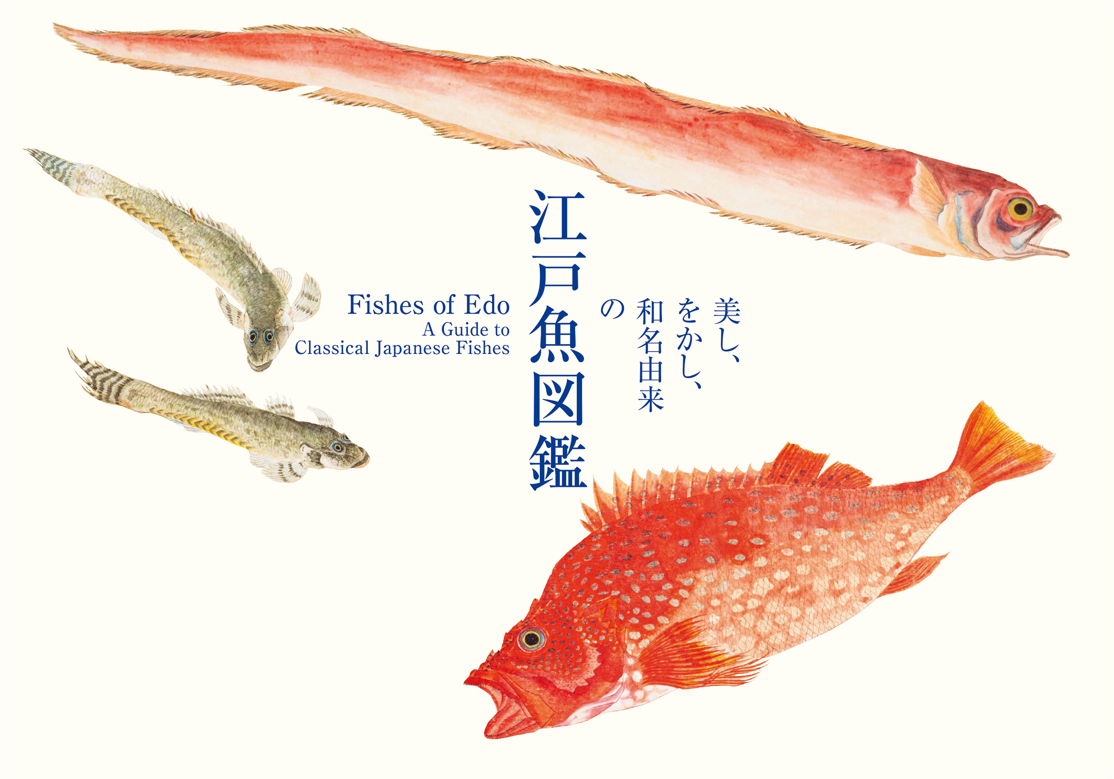 かはく【国立科学博物館公式】 على X: 