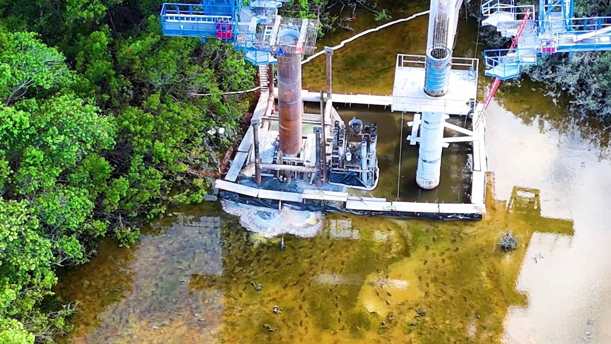 #Cancún
Con un dron, ambientalistas pudieron captar lo que presuntamente sería un derrame de cemento sobre el manglar, esto debido a las obras del Puente Vehicular Nichupté en Cancún. Ya alistan denuncia ante la @PROFEPA_Mx @SelvameMX @SEMARNAT_mx @AytoCancun