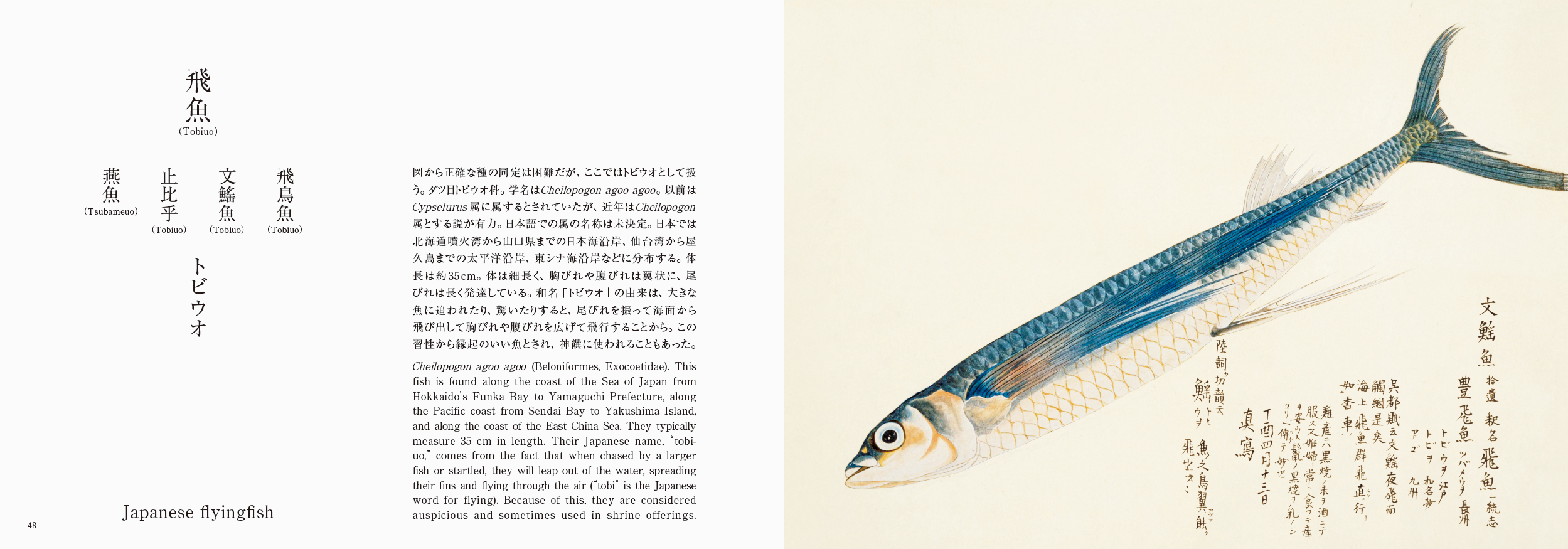 かはく【国立科学博物館公式】 على X: 