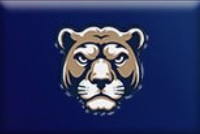 Thoughts on this #PennState logo?