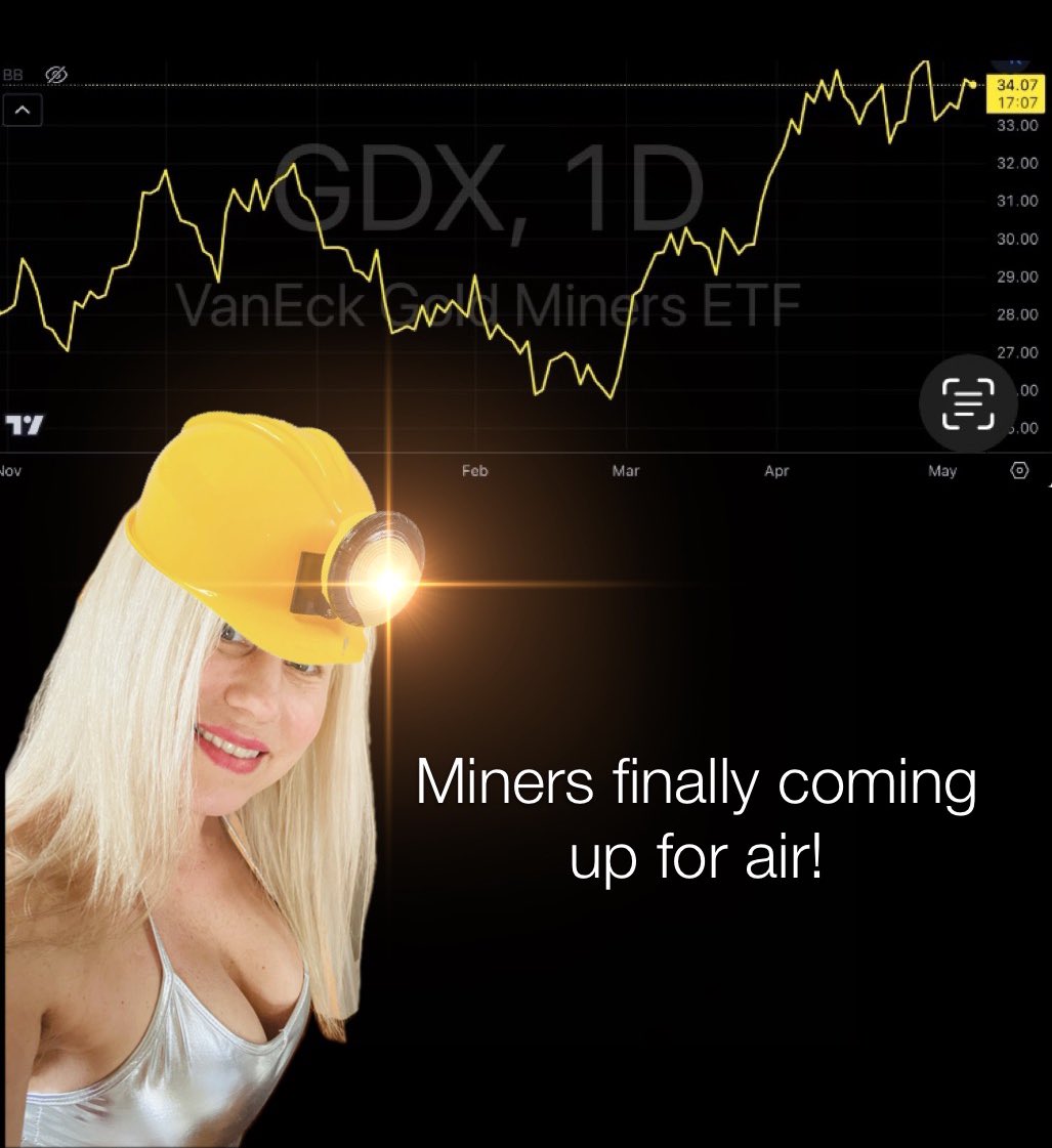 #ItsTuesday #GDX #miners #Investing #preciousmetals #Gold #Silver 
#BoobsandBullion ✨🪙💋