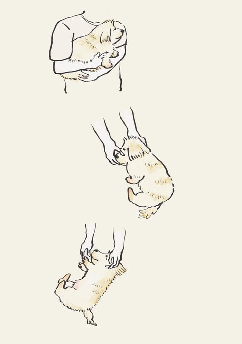 「holding animal short sleeves」 illustration images(Latest)