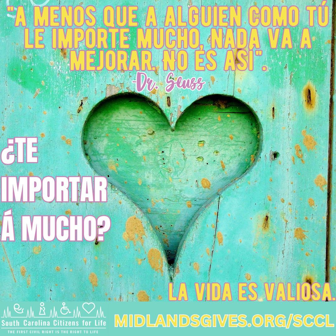 🤗 Will You Care a Whole Awful Lot?🤗 There’s Still Time to Give to A Cause Worth Standing For! Without the right-to-life, there is no other cause! ➡️Double Your Donation Here: midlandsgives.org/sccl Thank you! 🙏 #life4sc #midlandsgives2024 #savethebabiessc