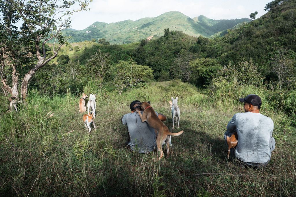 We are very happy and grateful for what we have done so far. Seeing them happy and healthy is what keeps us going like this. 

#dogs #lovedogs #doglovers #shelter #rescue #pet #stray