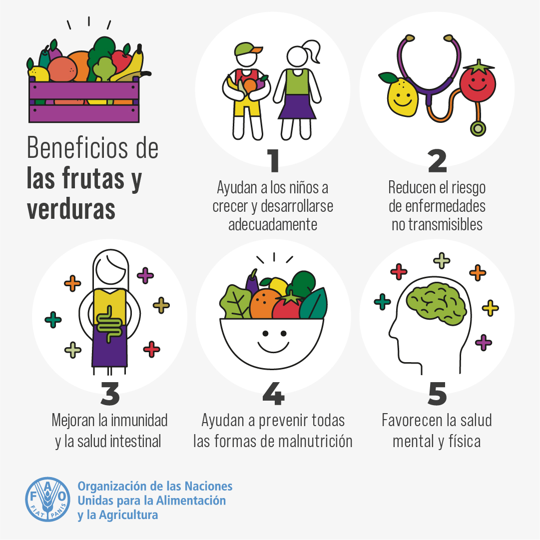 Las frutas y verduras son esenciales en las #DietasSaludables. 🍍Nutritivas, deliciosas y diversas 🥦Ricas en fibra, vitaminas y minerales 🍎Buenas para tu salud Intenta comer 5 porciones o 400 gr de fruta y verdura al día👉bit.ly/3Q4p8Tt