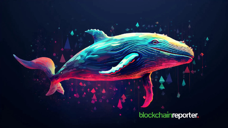 Bitcoin (BTC) Whale Triggers a $26.3M Sell-Off – How’ll Price React?

news.nbtc.finance/bitcoin-btc-wh…
#CryptoTrading #BitcoinSellOff #MarketVolatility #BlockchainTransparency #WhaleMovement #Crypto #Bitcoin #NBTC