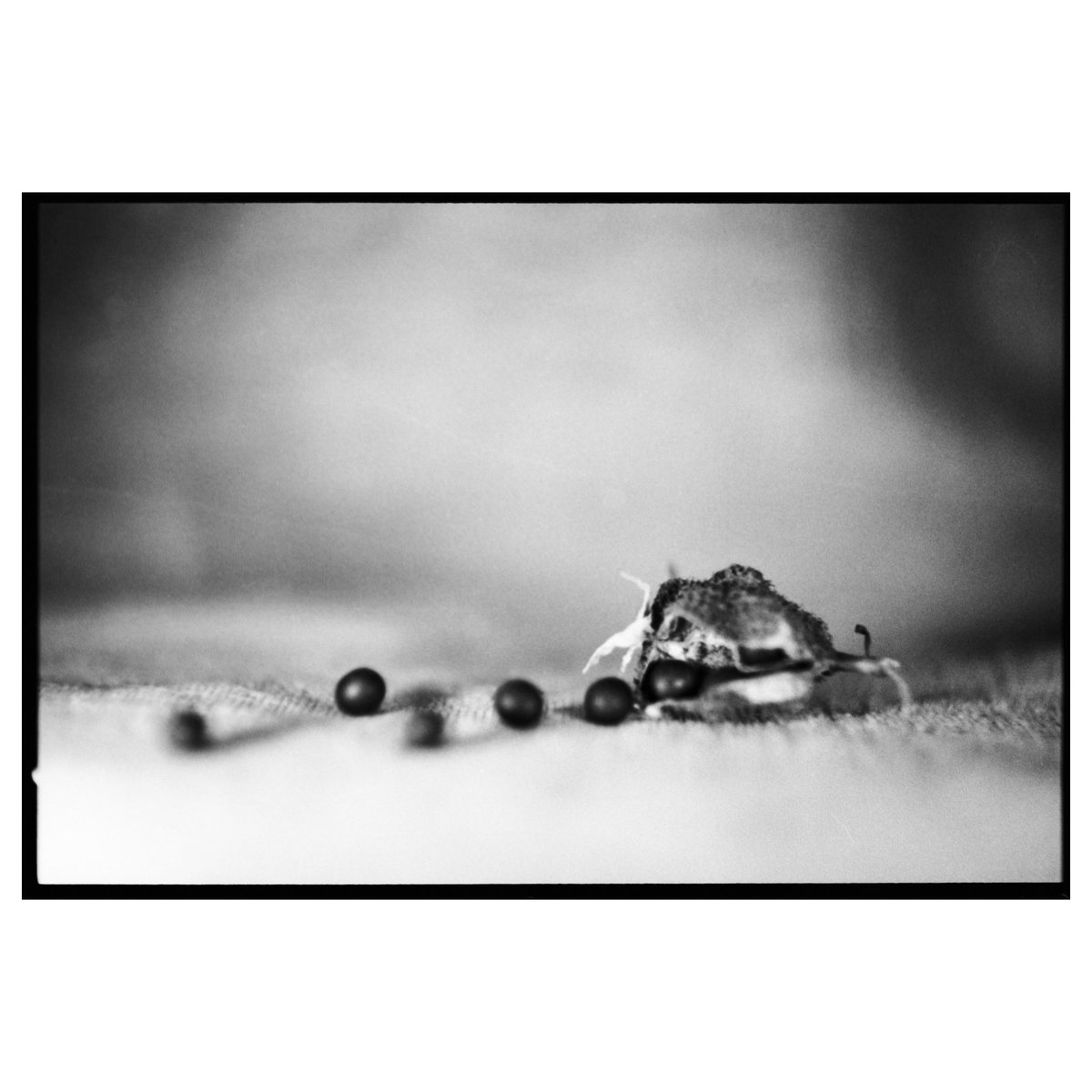 Acción sin posibilidad de desarrollo.