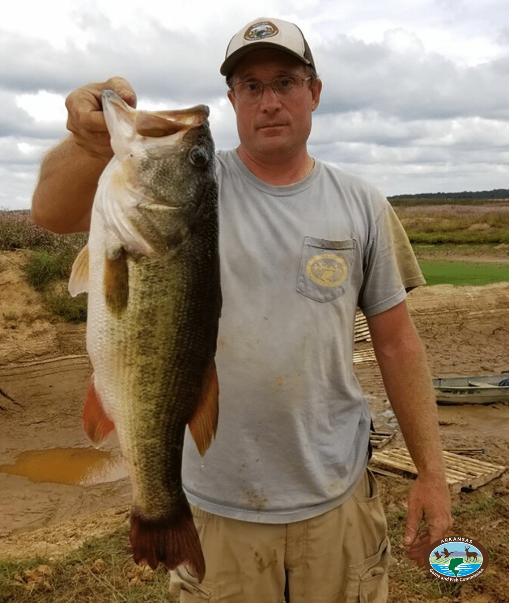 🐟 AGFC releases the titans at Lake Monticello MONTICELLO — The Arkansas Game and Fish Commission is hedging its bets with bringing trophy-class bass fishing back to Lake Monticello with today’s release of roughly 9,000 special fish. These fish are the ...bit.ly/3UP9sc3