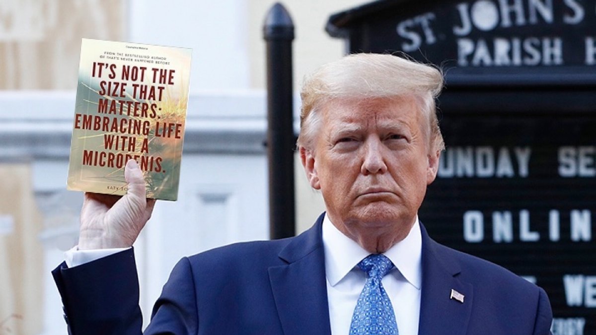 Hey MAGAts.... When Stormy Daniels spanked trump..... Did she use his favorite book?