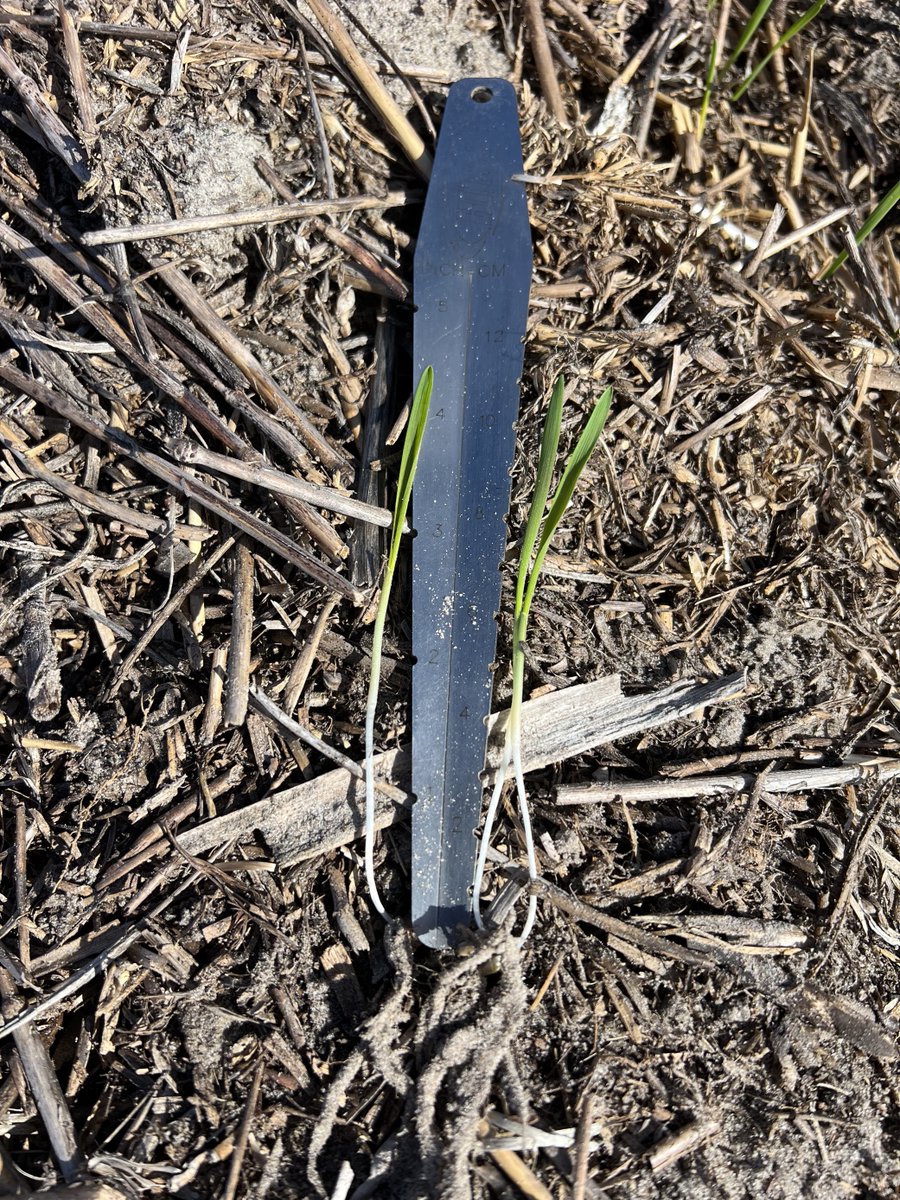 InterGrain tweet media