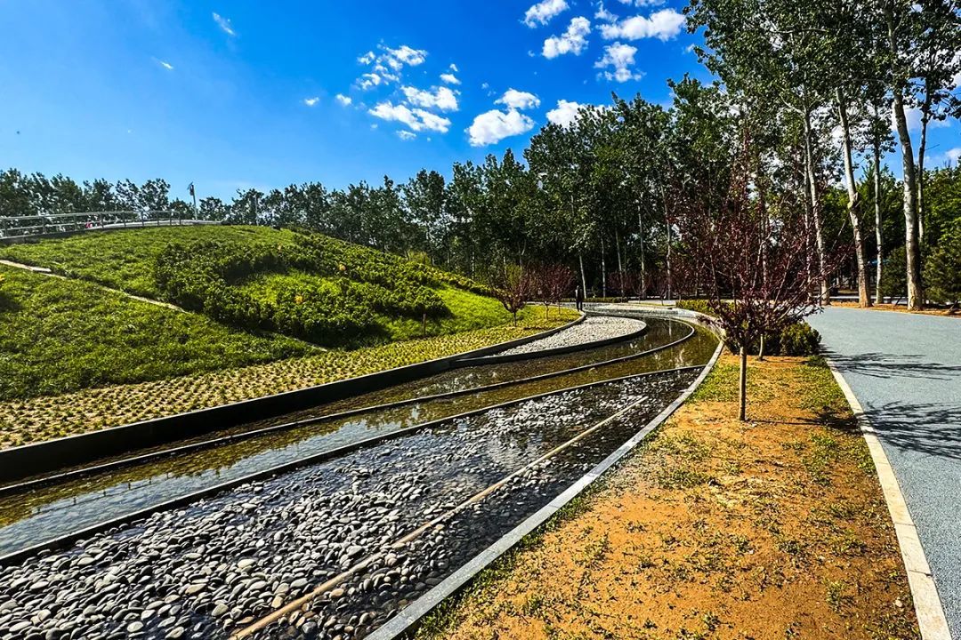 StoryOfBeijing's tweet photo. The Houshayu People's Park in #Shunyi district has been upgraded and renovated, adding walk trails and cycle tracks to add more leisure places for surrounding residents. #Beijing #park #leisure
https://t.co/4Cp3dTIkME https://t.co/ni7KwOZdo3