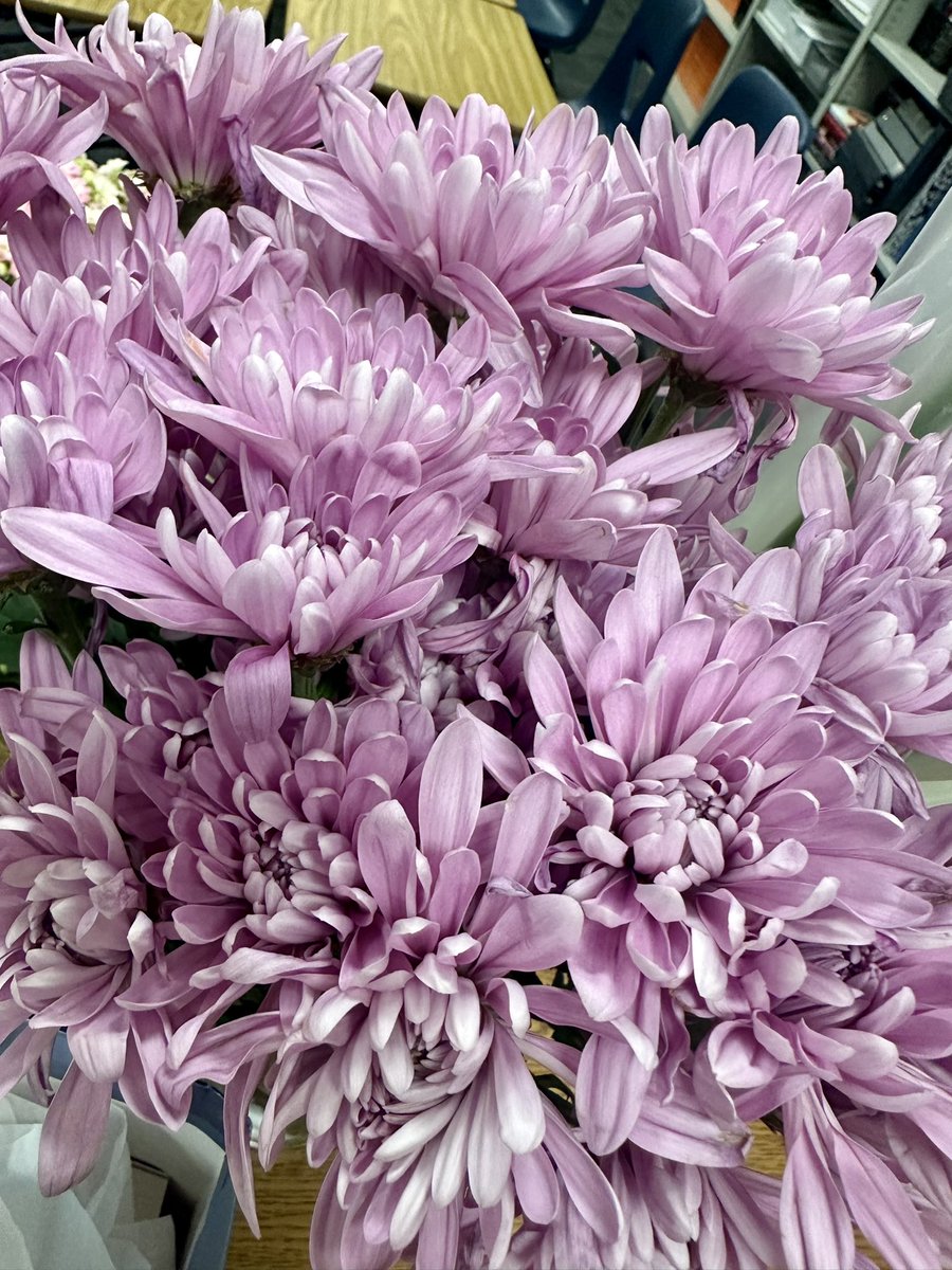 shanrobinson7's tweet image. I couldn’t ask for more! 🥹 

#BestStudents #May7th #Birthday