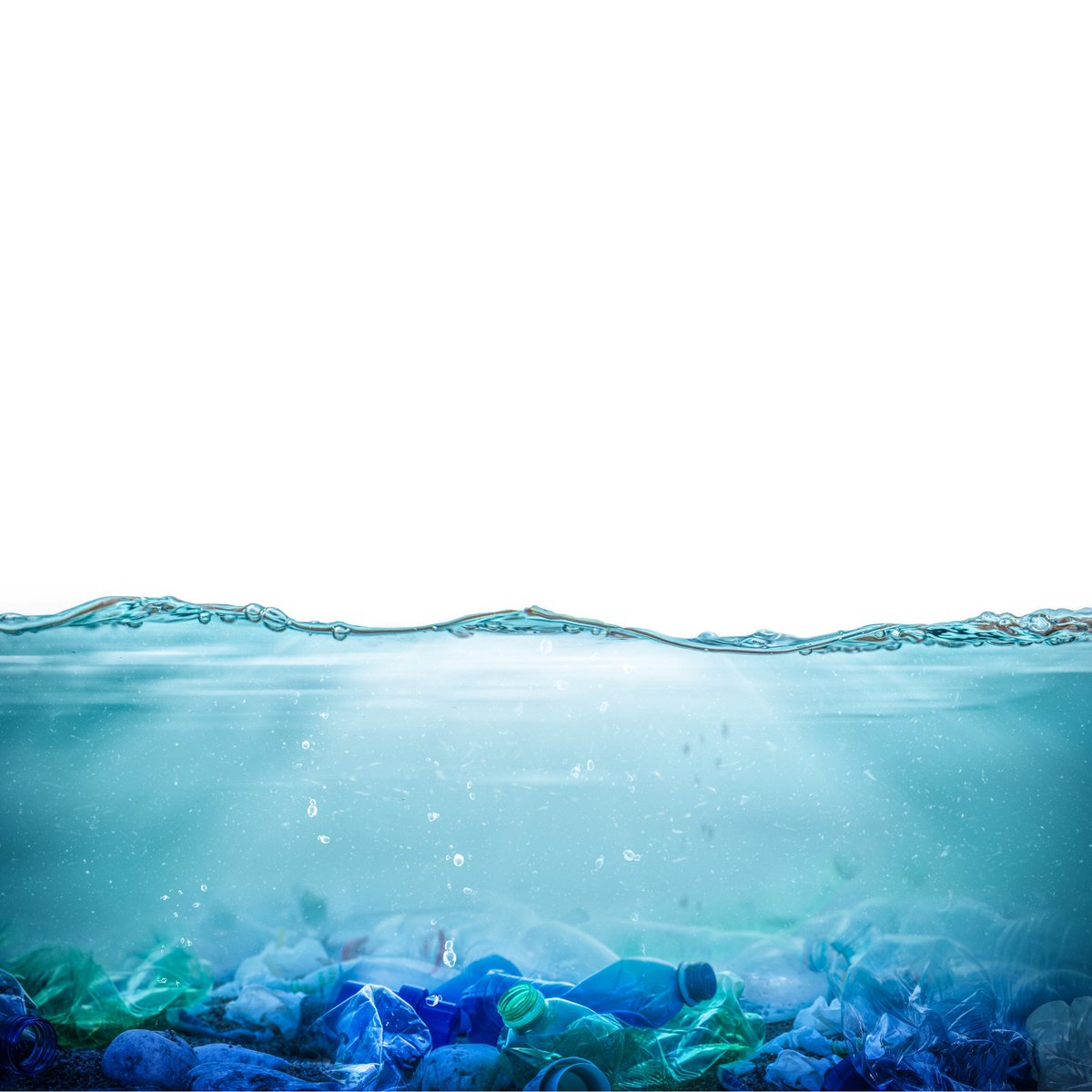 forestflask's tweet image. Single-use plastics often end up in our oceans, harming marine life. Let&apos;s be part of the solution, not the pollution. 🌊🐢 #SaveOurOceans #NoMorePlastic