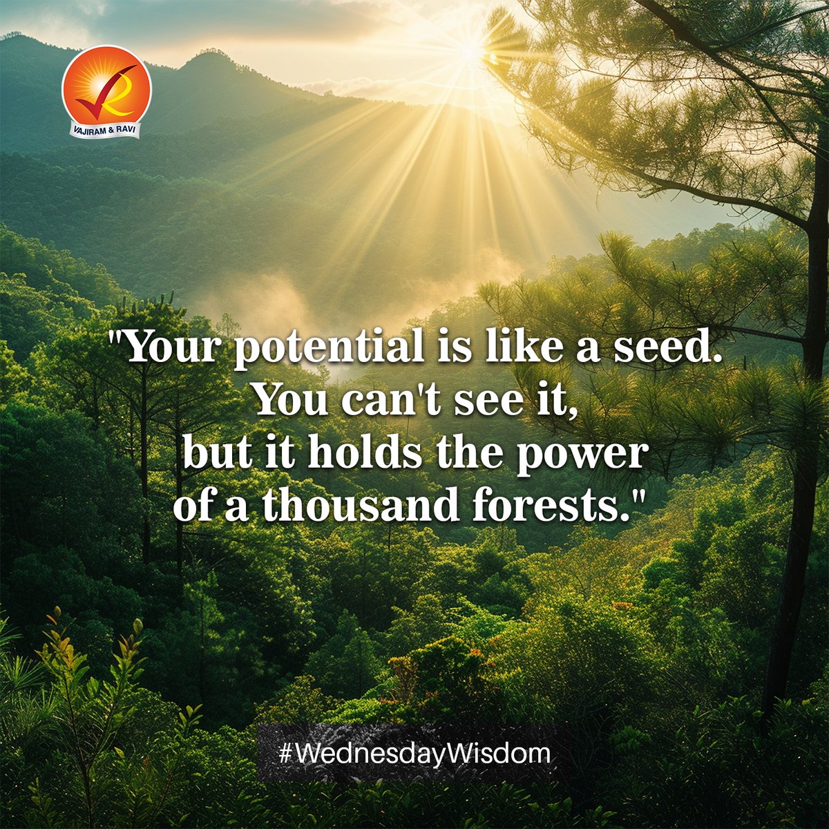 Your potential is like a seed. You can't see it, but it holds the power of a thousand forests.

#WednesdayWisdom💡 |  #wellnesswednesday #motivationday #motivation #motivationeveryday #wisdom #wisdomquote #wordsofwisdom #happiness #inspiration #mindset #wisewords  #upscmotivation