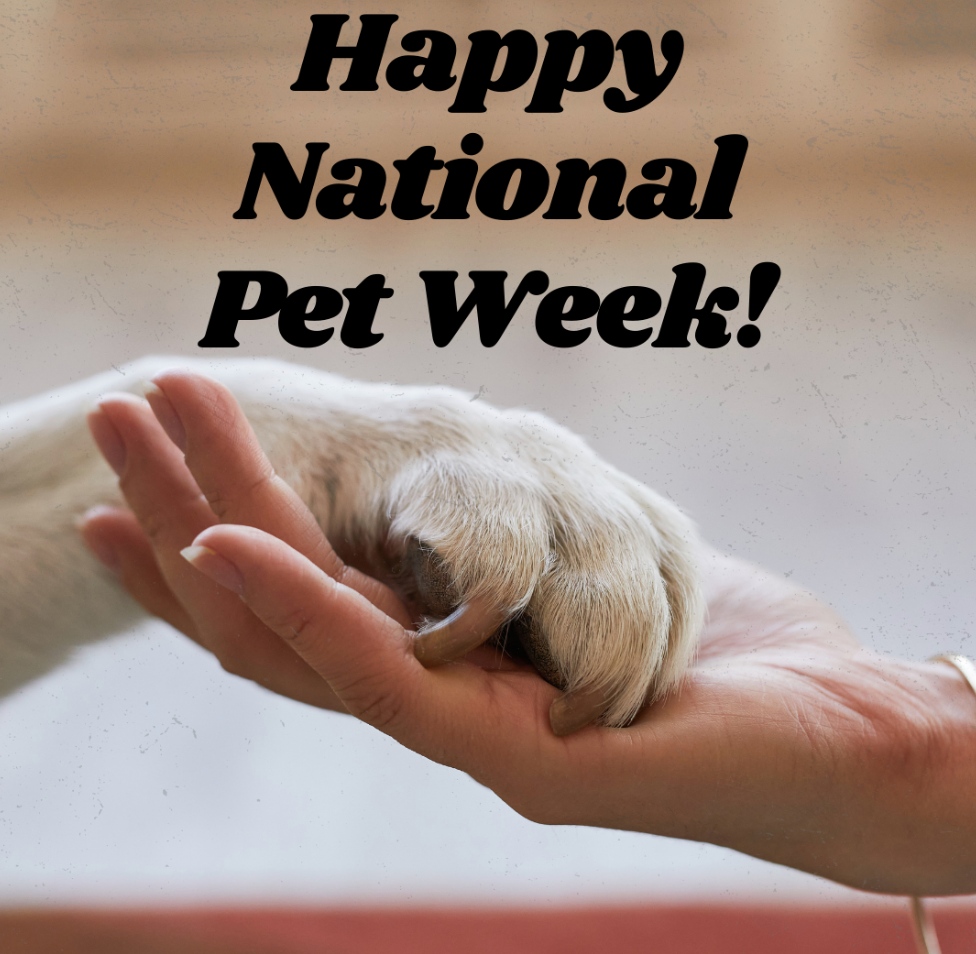 It’s National Pet Week! Take some time this week to give a little extra love to your furry, feathered and scaly family members! 

#FriendshipEducationFoundation #Education #CharterSchools #Success #EducationEquality #OurFutureIsTheChildren #EducationMatters #DCCharterSchools #...