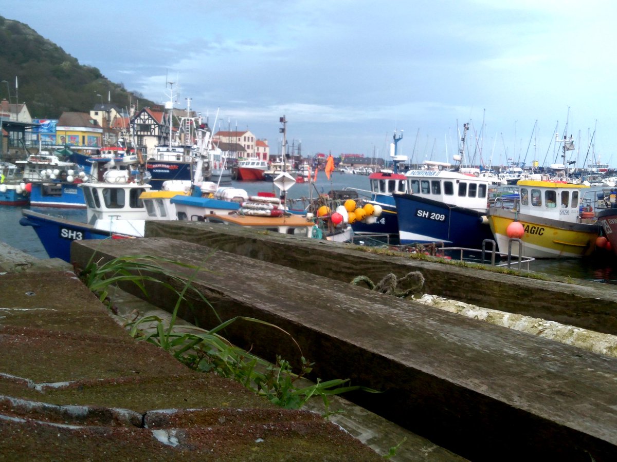#BOATS #Scarborough  #Harbour
#Fishing #Boats #Pier
#photography #Theme
#woodensday #photo