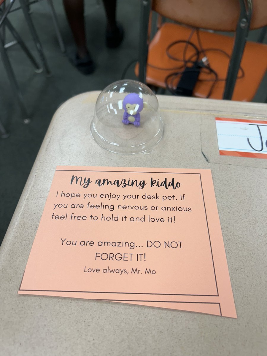 Mr_Mahmoudmo's tweet photo. Some desk pets for my students! Testing anxiety is REAL! Had to show some love to my kiddos for this tough week! Something this small really means the world to them! https://t.co/wLwUTysWwM