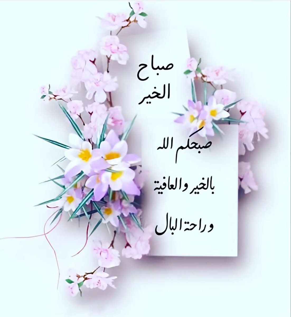 صبحكم الله بالخير والعافية للجميع 🌹