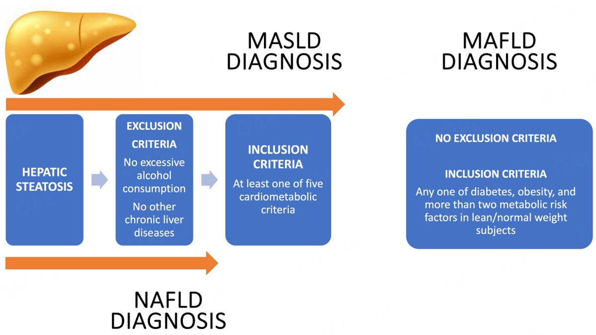 📢 📢 Title: Dysmetabolic comorbidities and #NAFLD: a stairway to #MASLD.

✍ This narrative review aims to clarify the evolution from NAFLD to the new nomenclature MASLD and evaluate its complications.

👉 PDF: f.oaes.cc/xmlpdf/054d92d…