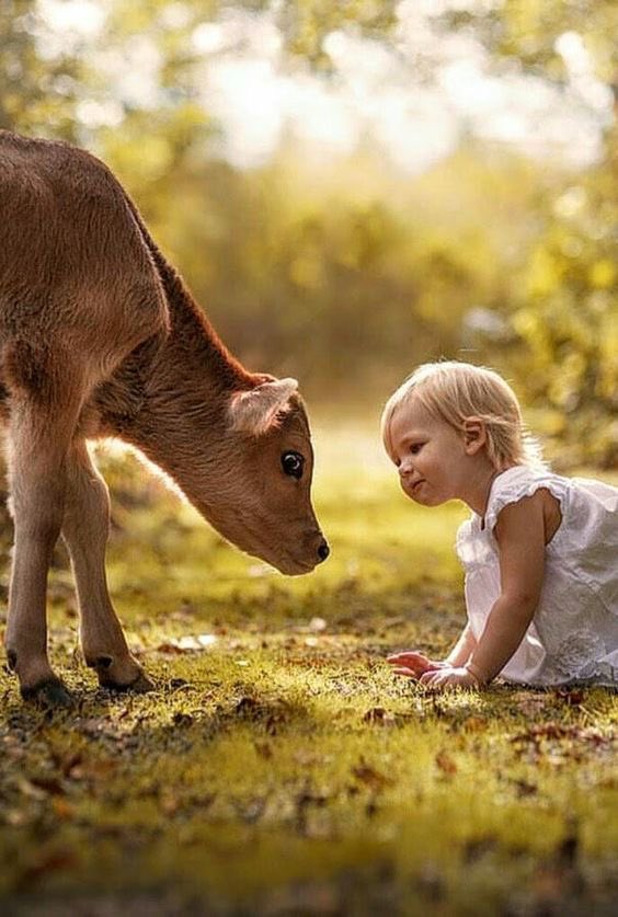 In a world where you can be anything, BE KIND 🌹

Please be kind to all animals 🌹

Celebrating #BeKindToAnimals Week 🌹 #ForTheAnimals  #Animalslover