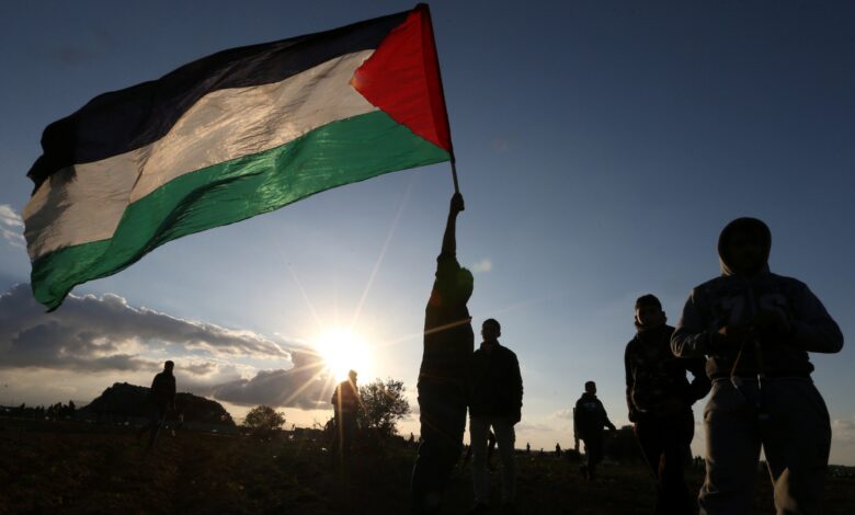 Hoje a vitória é do povo palestino. Vitória nesse momento tão delicado dos nossos irmãos árabes. Eu não consigo parar de chorar aqui em casa. Viva a Palestina.