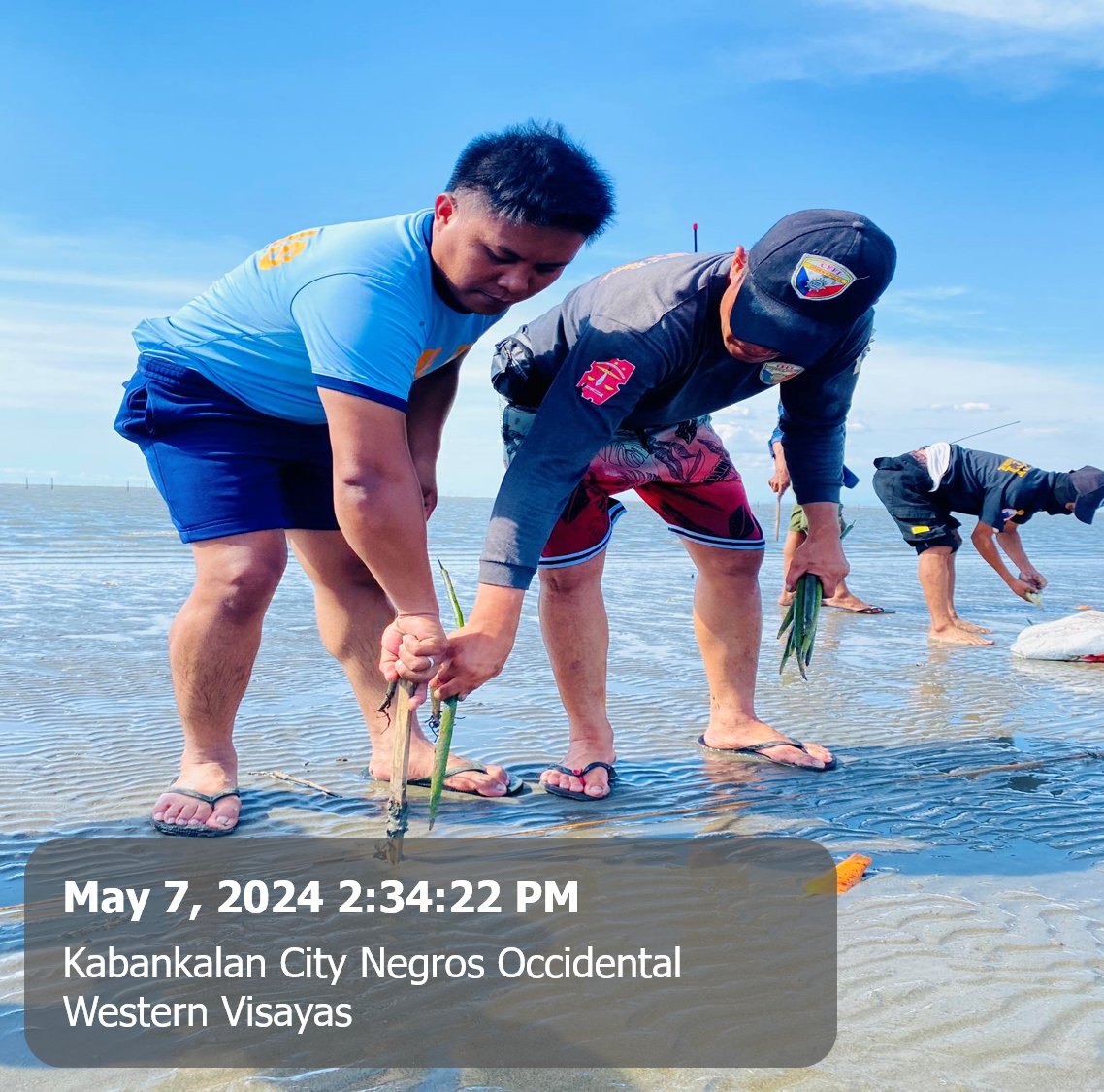 KabankalanPCR's tweet photo. Kabankalan Component City Police Station personnel under the supervision PLTCOL ROBERTO V INDIAPE JR, OIC together with Centennial Force Foundation Incorporated (CFFI)  Advocacy Group conducted Mangrove Planting held at Sitio Bagacay, Barangay Daan Banua, Kabankalan City. https://t.co/759ASH9I9f