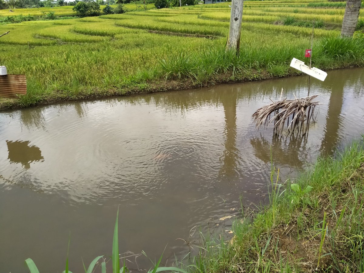 @5thy4chmad, S.Pi.,M.Si tweet media