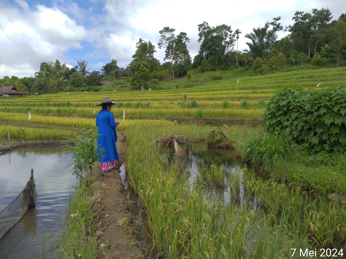 @5thy4chmad, S.Pi.,M.Si tweet media