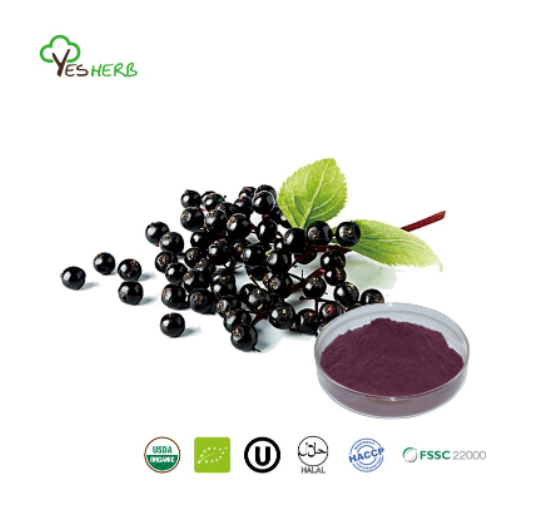 Discover the immune-boosting power of Elderberry Powder!  Packed with essential flavonoids like Quercetin and catechins, this water-soluble superfood is rich in antioxidants.  #ElderberryPowder #ImmuneBoost #Antioxidants #Superfood #HealthyLiving #Wellness