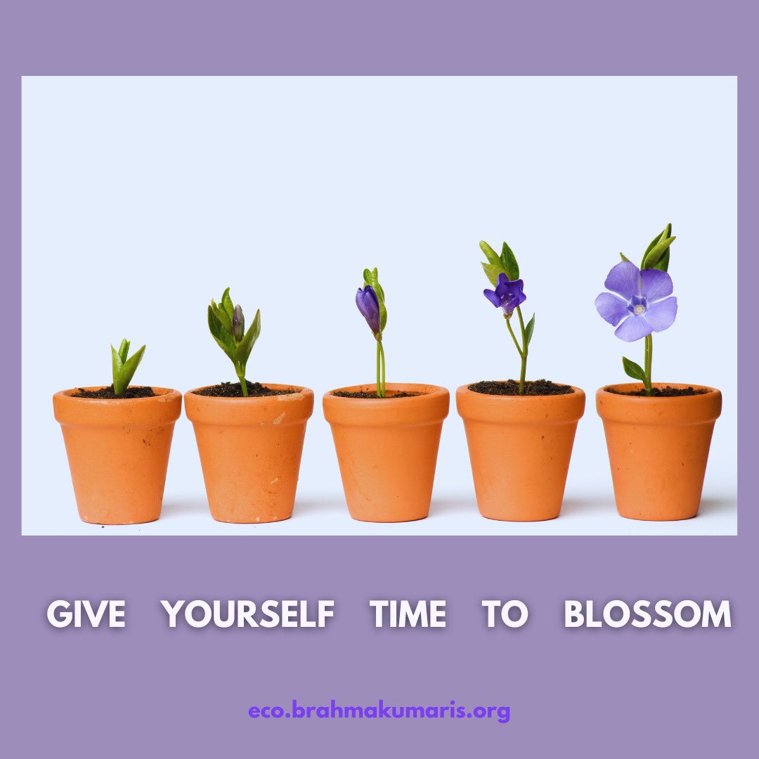 Give yourself time to blossom. #ClimateAction #MeaningfulMay #environment #ecobrahmakumaris