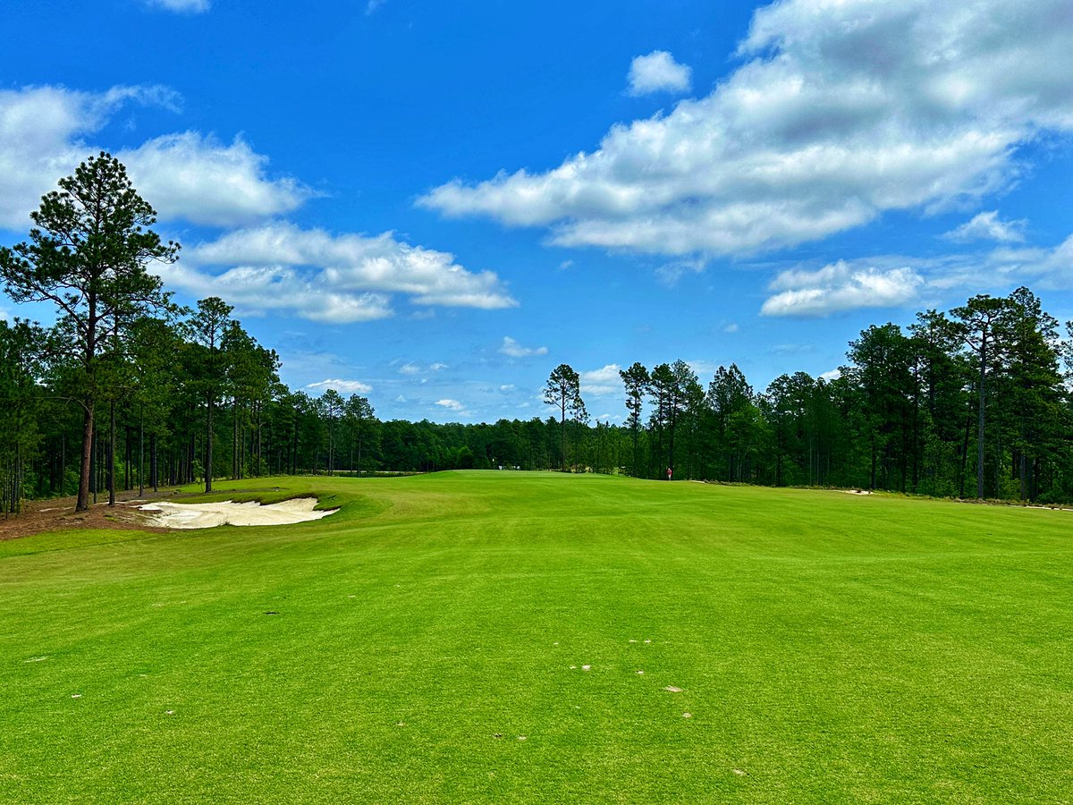 Tim Gavrich tweet media