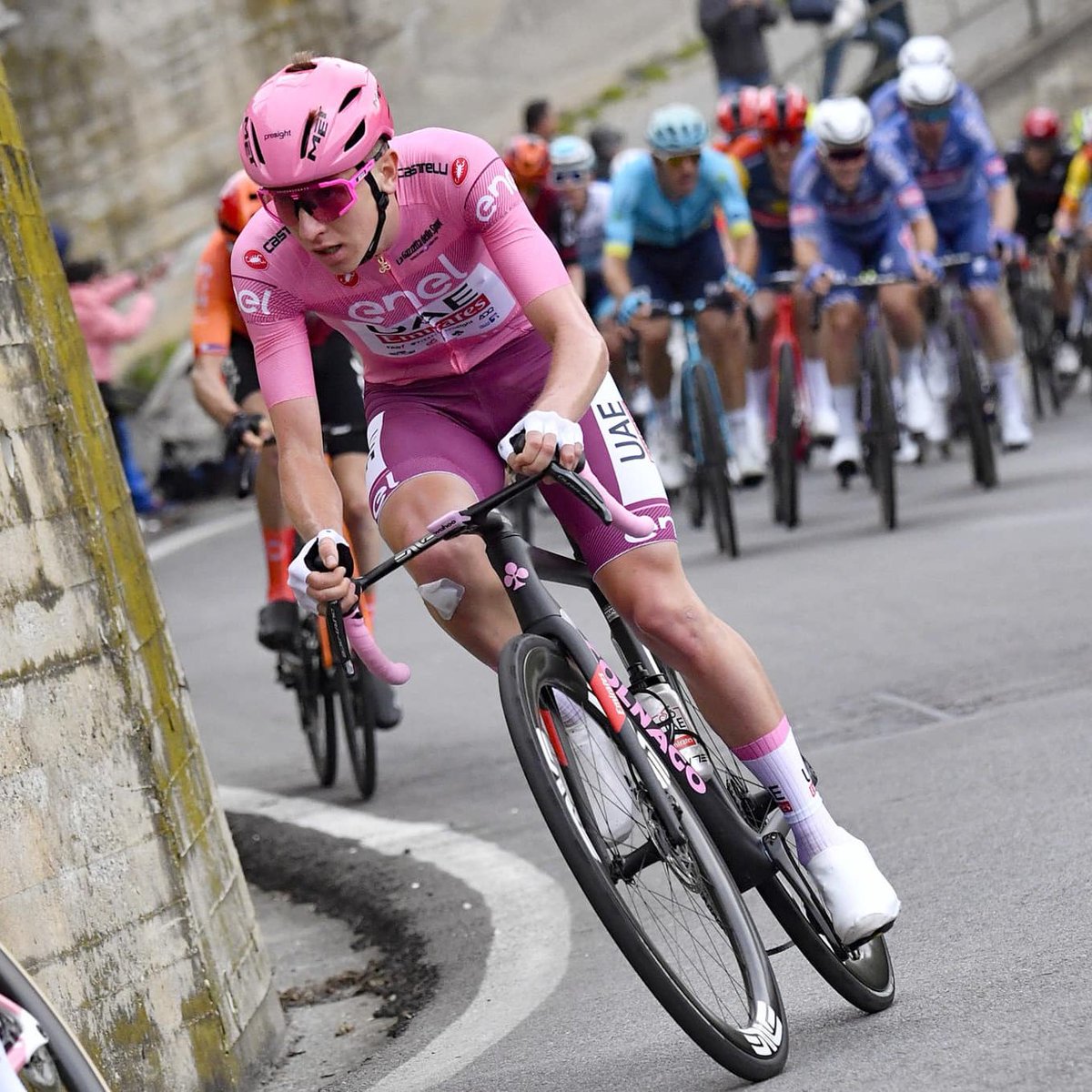 UAE Team Emirates ジロ・デ・イタリア ポガチャル サイン入り UAE