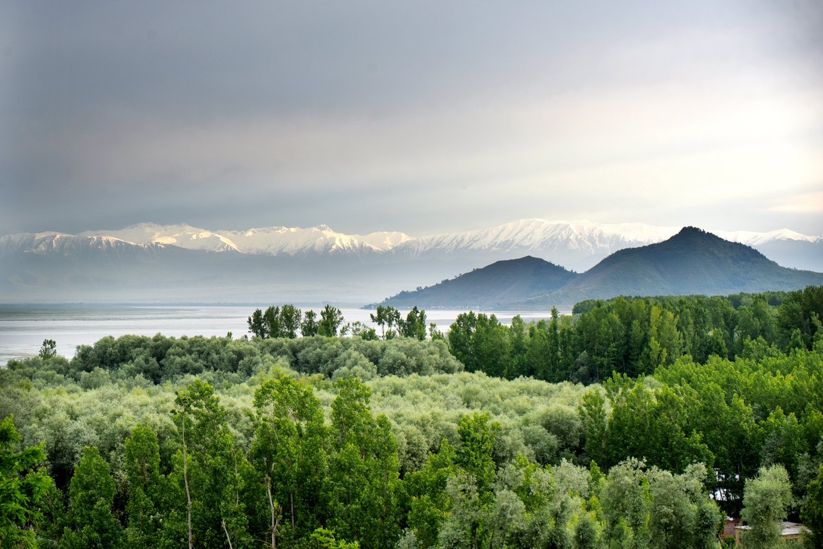 Kashmir's unparalleled beauty, a timeless symphony of majestic peaks, serene lakes, and vibrant culture, captivates the soul at every glance.
 #KashmirBeauty #ParadiseOnEarth #jammukashmirnews #NatureBeauty #SeekingJustice #RabindraJayanti #MIvsSRH #neet_paper_leak #ThugLife