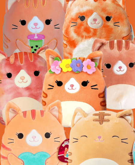 New blog post about these sweet orange Squishmallow cats and where to find them!
bit.ly/3UA2K8q